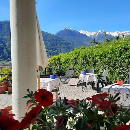 B&B Il Grappolo Bianzone Bagian luar foto