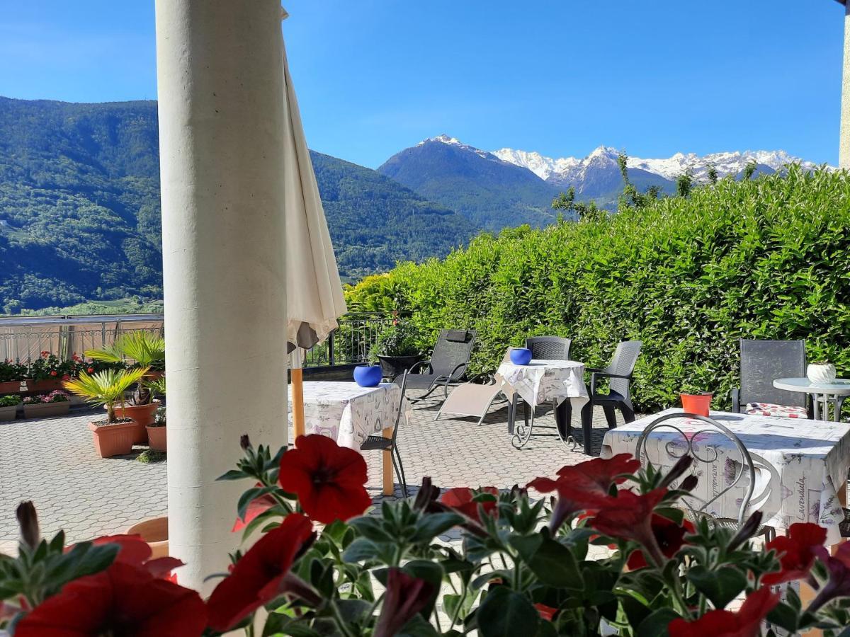 B&B Il Grappolo Bianzone Bagian luar foto