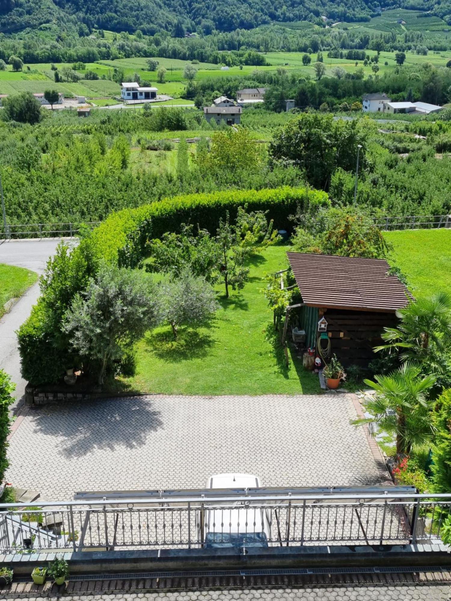B&B Il Grappolo Bianzone Bagian luar foto