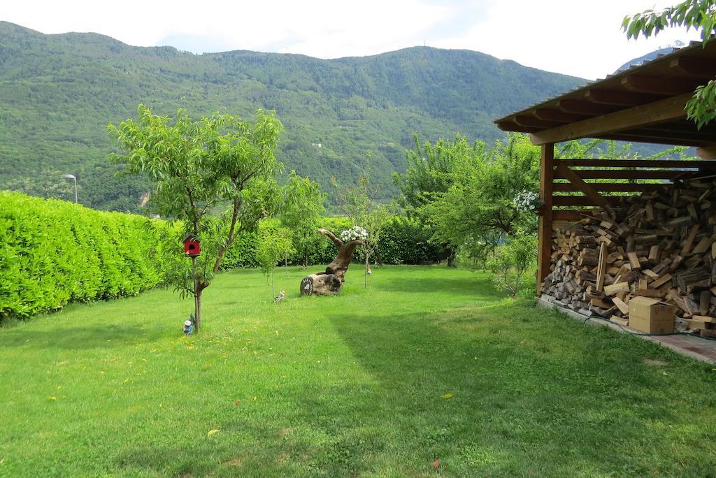 B&B Il Grappolo Bianzone Bagian luar foto