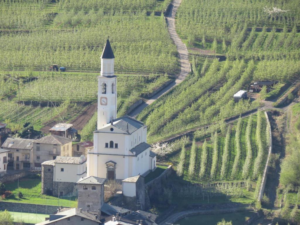 B&B Il Grappolo Bianzone Bagian luar foto