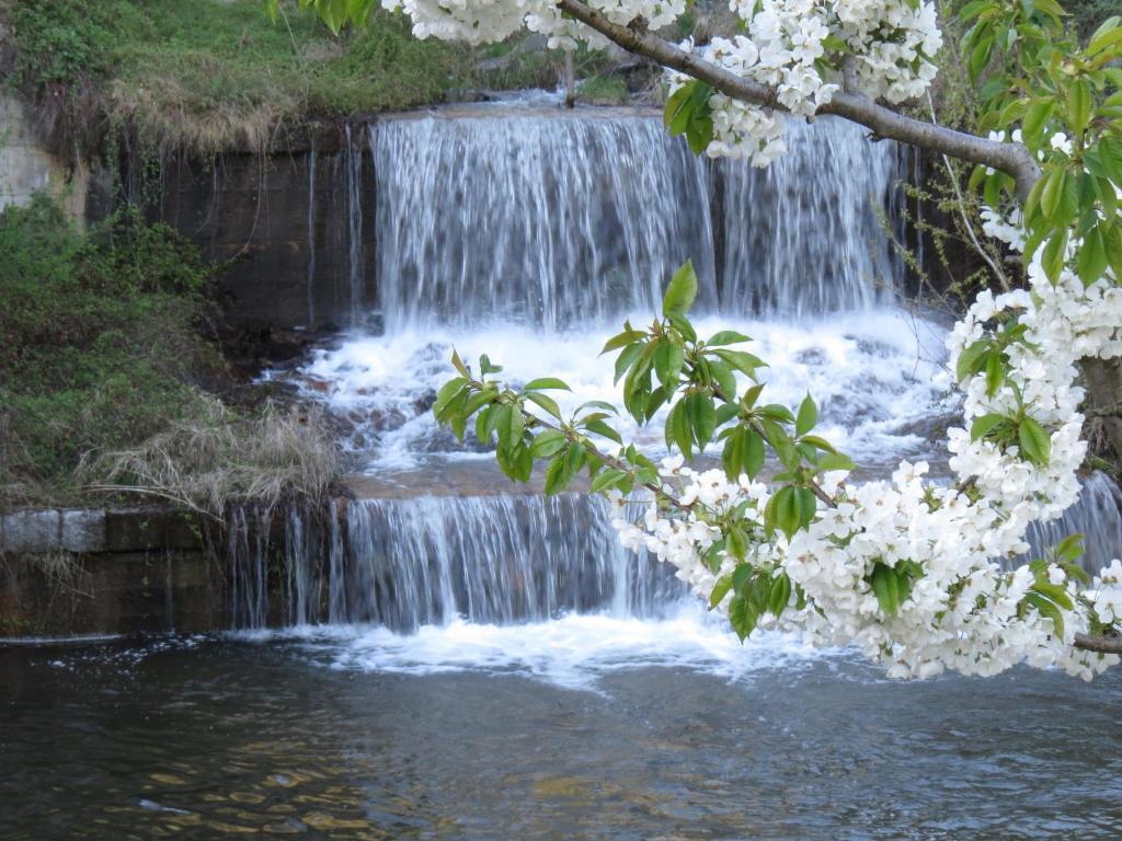 B&B Il Grappolo Bianzone Bagian luar foto